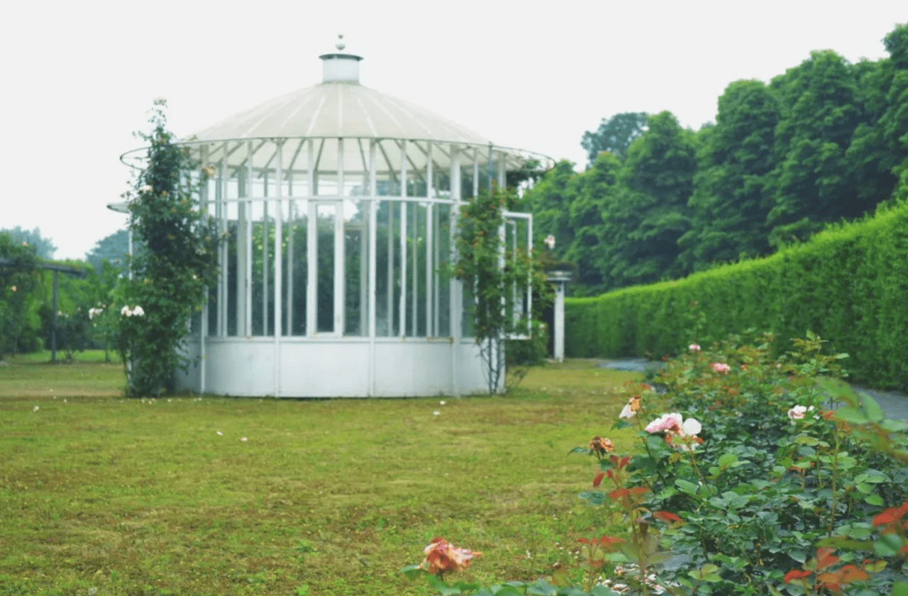 成都浪漫庄园300多亩进口玫瑰花情侣们扎堆结婚