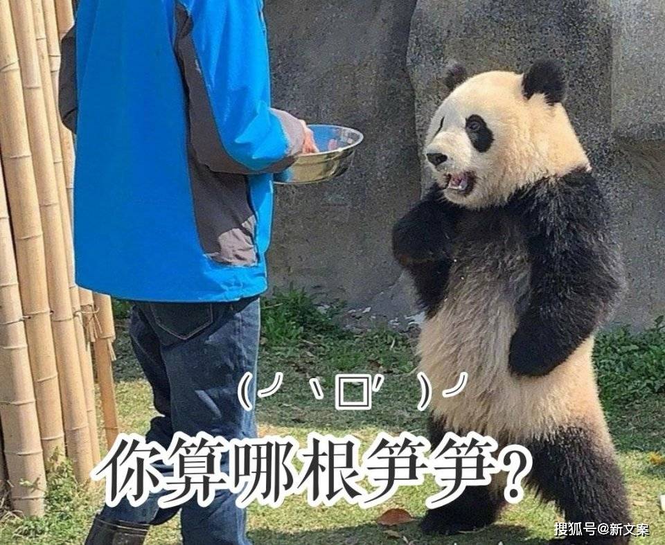 原创室友的哪些窒息操作,曾让你寒心?哈哈哈夺笋啊