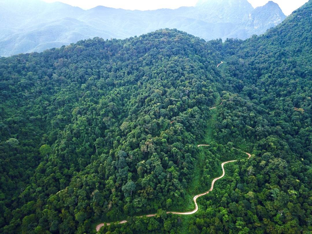 勐远雨林穿越：带你探秘原始雨林，寻找神奇的雨林精灵