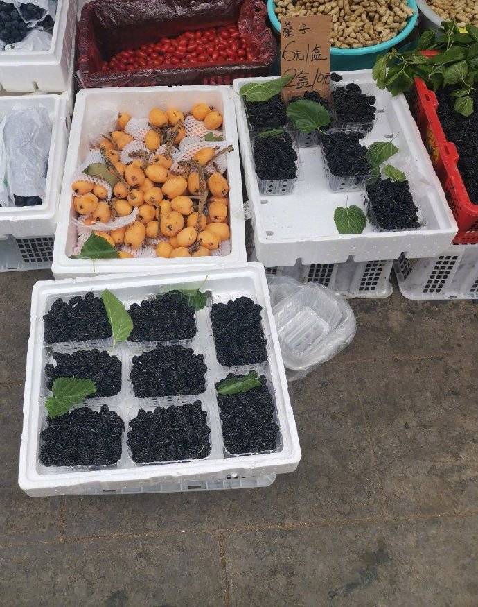 紫桑葚還是白桑葚？ 熱愛美食 第8张