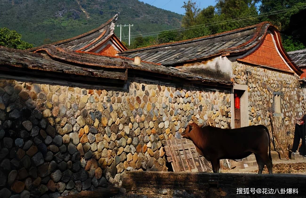 由于最近两年来的网红直播带货的兴起,ceo牛富贵在冯三妹加入公司不久