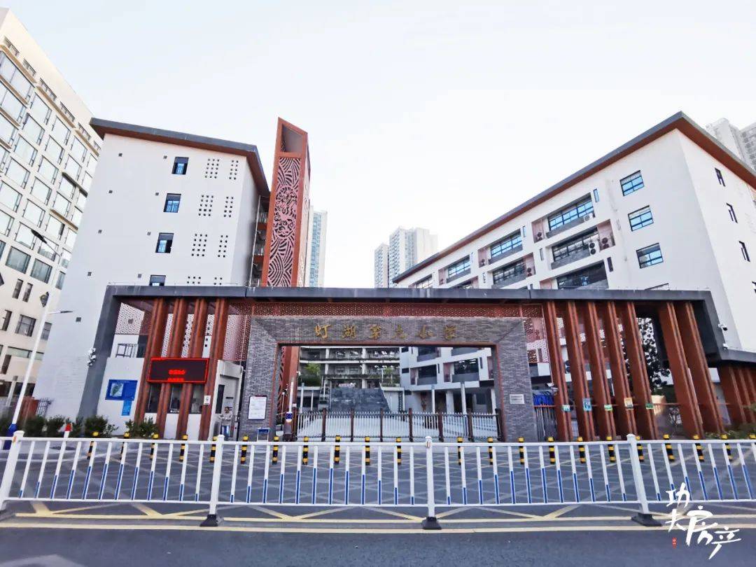 佛山真的没有学区房吗?我第一个反对_小学