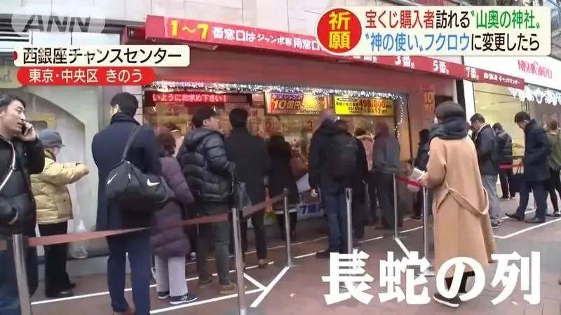 日本神社也太会做生意了吧 从无人问津到火爆异常 原来全靠了这个 猫头鹰