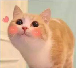 e753d3da71ef42e394b684cc84d49f4c.jpeg