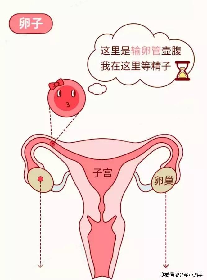 文章配图-1