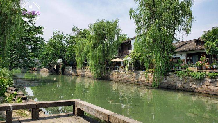 杭州有处文艺清新的街区，一条河，两条街，免费参观，春游好去处