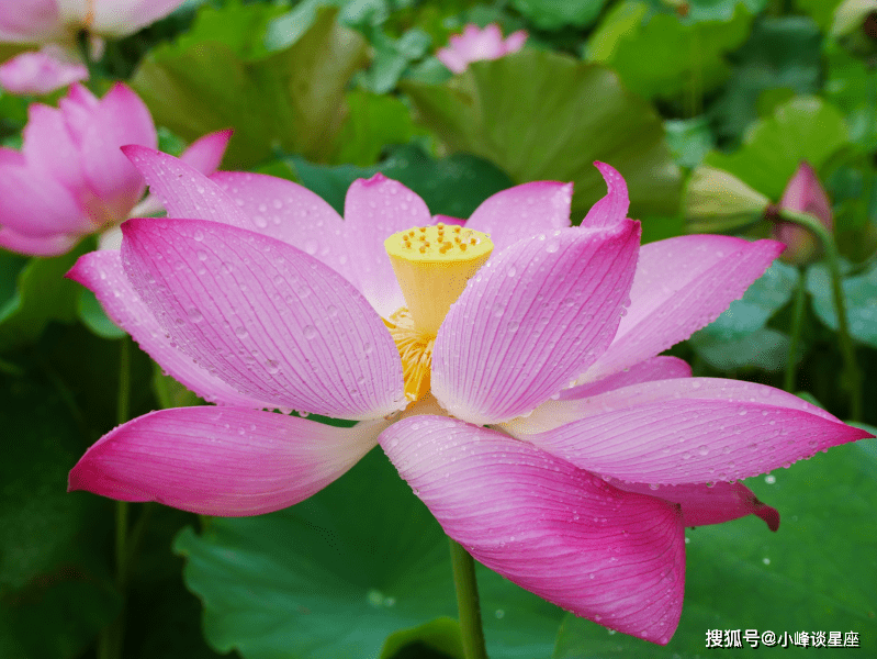 4月28日开始得贵人青睐 好运气不停歇 天天数钱忙的四大生肖 人生