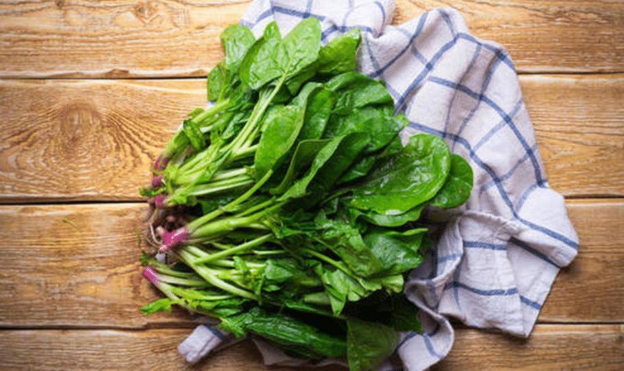 菠菜是什么颜色的根 ef9f3f925f4442fba3ccb5045a96fcf2.jpeg