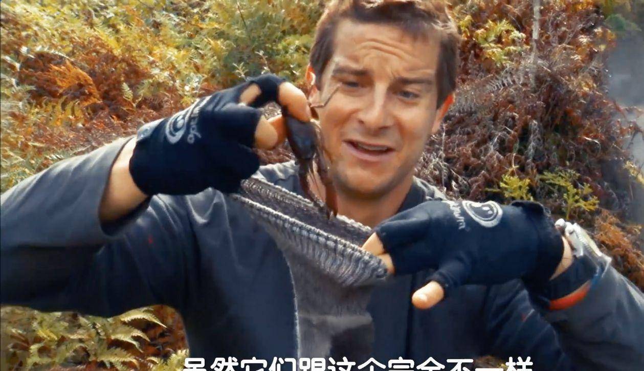 《荒野求生》原来是这样拍的!网友:骗了大家这么多年,好难过_贝爷
