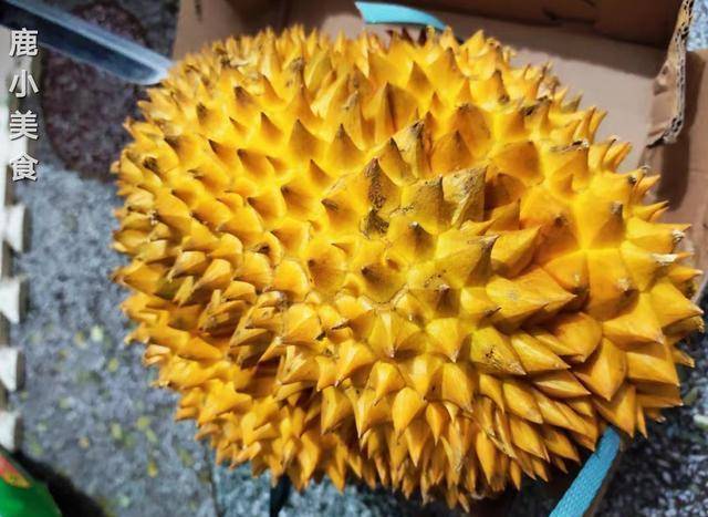 榴莲有公母之分如何区别照这4点准没错皮薄肉厚味甘甜