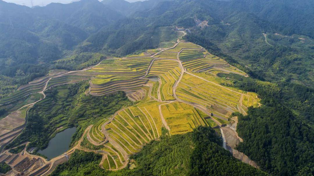 投資近3000萬元,永康這個村有個千畝梯田