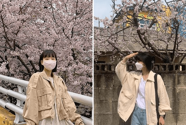 拍摄樱花穿什么颜色衣服