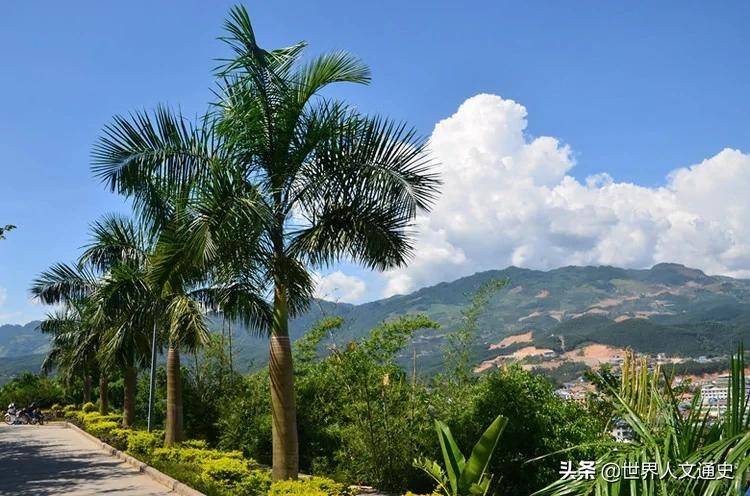 现在可以去缅甸勐拉吗 4cc30b63045e4adb9b74b7881d658a45.jpeg