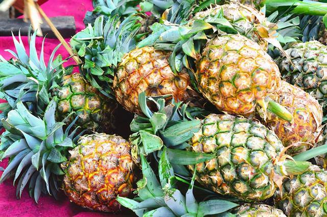 凤梨要怎么泡才甜 2e73a0523c5a443a9ffff53512e9e2e5.jpeg