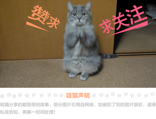 7910035d700e452d815e163475aeccd0.gif
