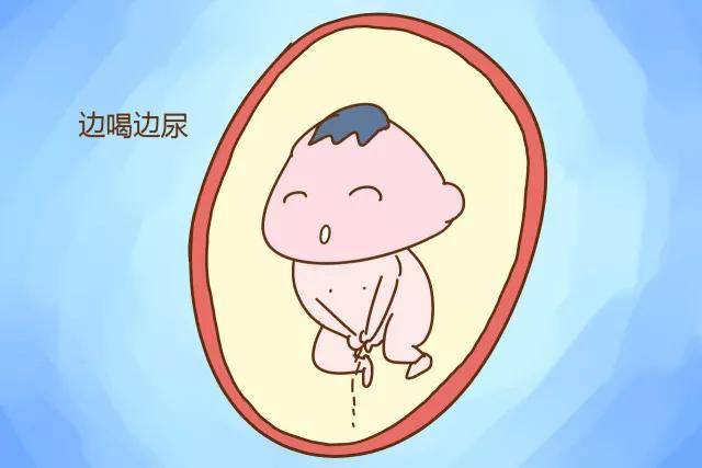羊水是胎宝宝的尿液？关于羊水的n个冷知识，你知道几个？