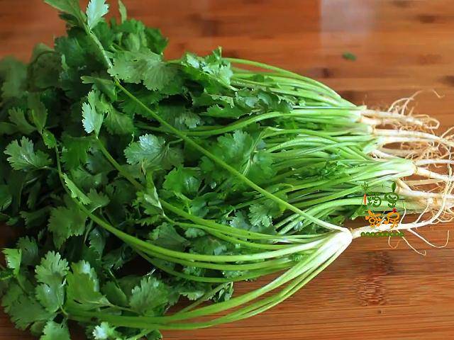 香菜别再煮火锅了试试这个吃法香辣入味特解馋比榨菜下饭
