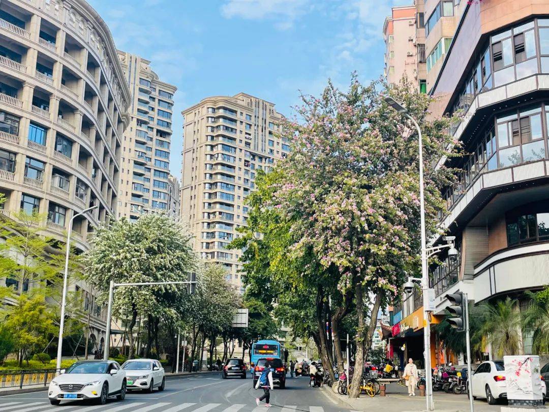 我们没有走上公园,而是沿着乐群路往里走,凹凸不平的石头路,古色古香