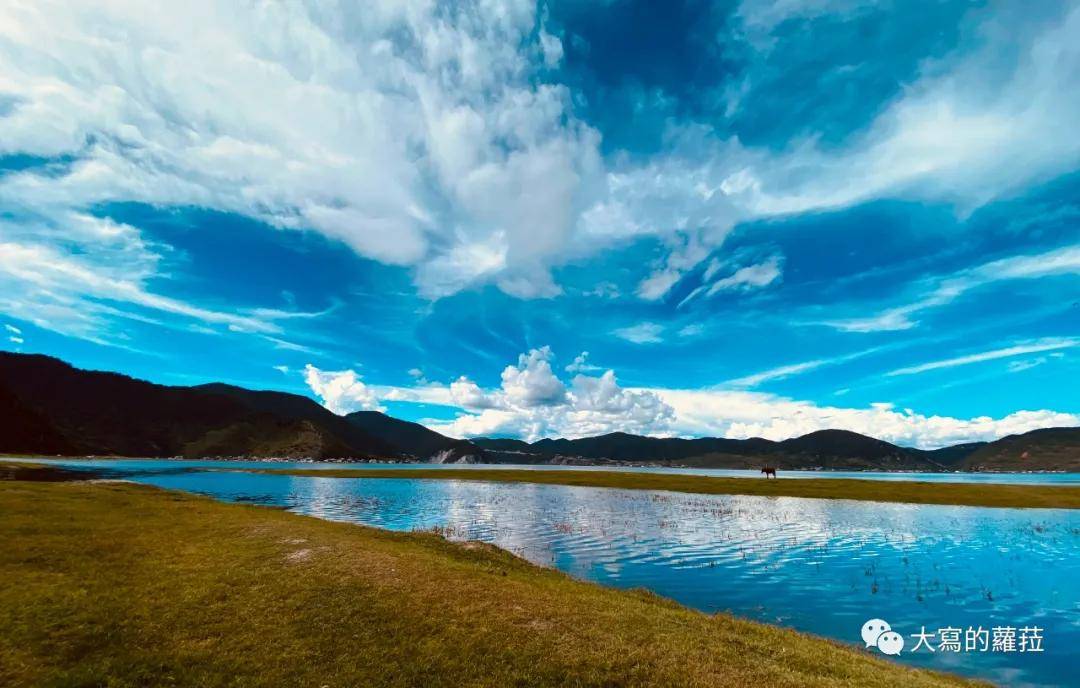 ���������ɺ����ǲ��ܹ���