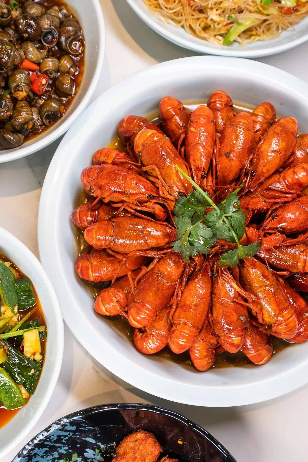 逛向日葵花田撸萌宠巨兔香猪五一来新城市广场就对了