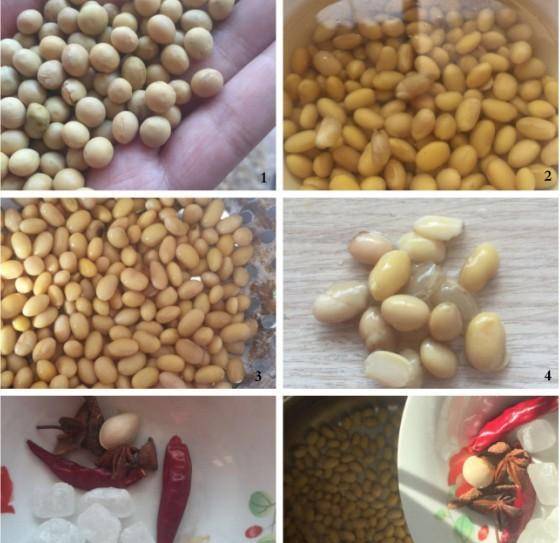 大豆美容的效果原理是什么_大豆是什么豆图片(2)