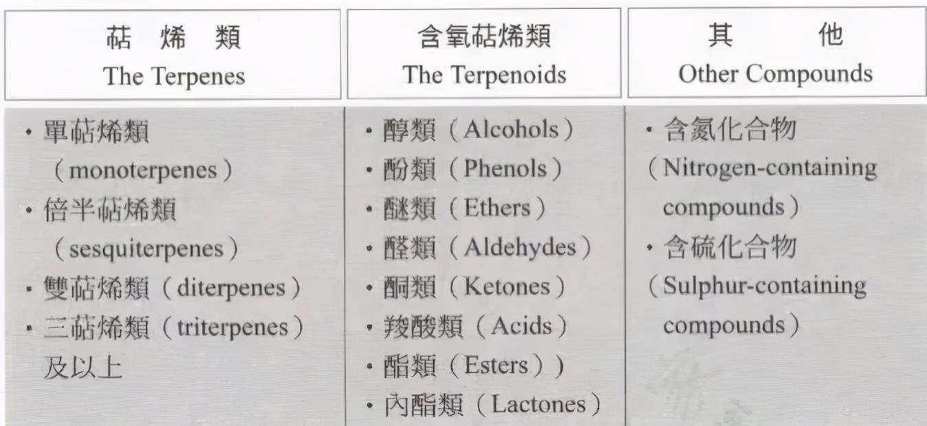 精油化学 单萜烯类精油 杀菌 止痛 强化精神 消弥焦虑 官能