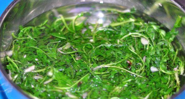 婆婆丁馅饺子口感 852d48d716234d7bb1f9e812cf024d45.jpeg