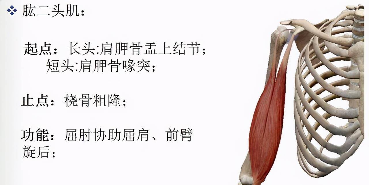 d8370d402e0c4324a823f78aeab3e9b6.jpeg