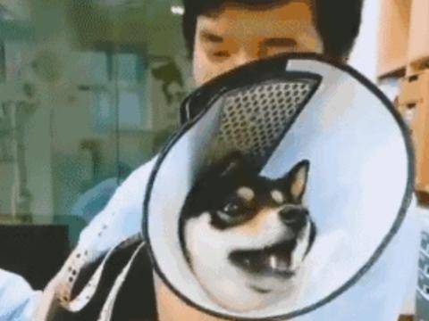 人怎么才能快速哭出来 e4a5f16c4f5e48789ac48af4d7b4b01d.jpeg