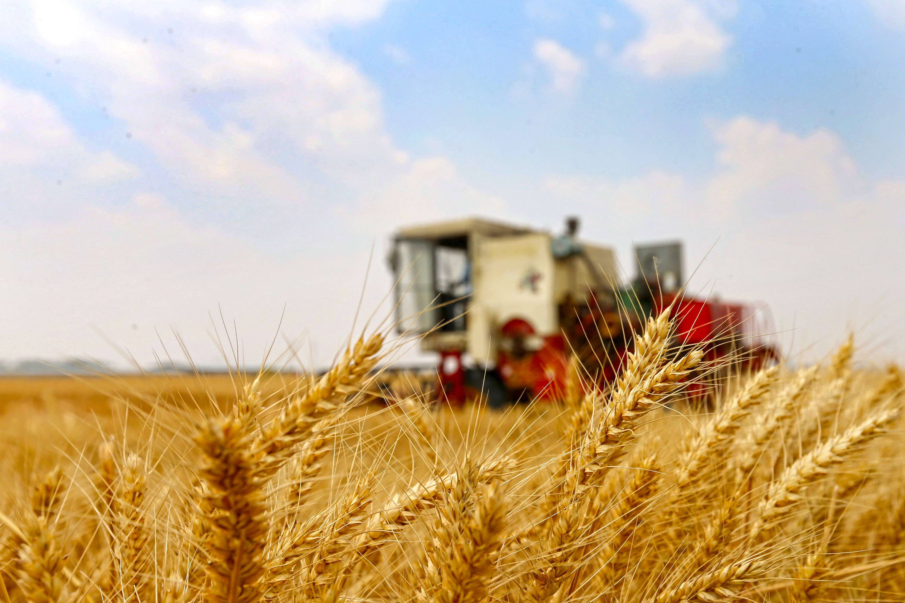 33岁女子感染hpv33用药半年病变医生这3件事怎能天天做