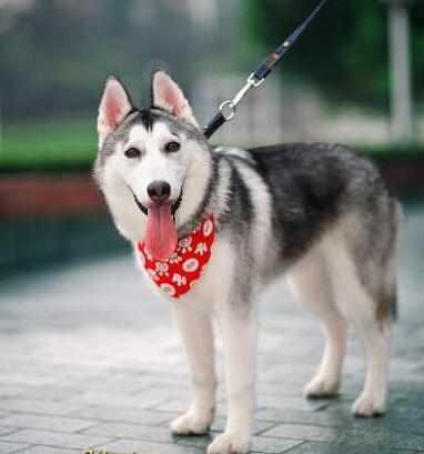 f4f1d9e4349c461f8349942cfa1279ea.jpeg