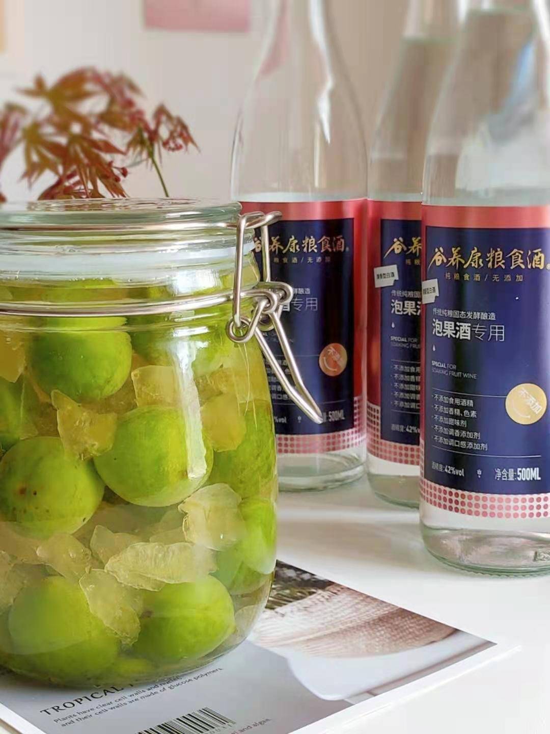 青梅泡酒,迎接夏天来临的一种方式_梅子