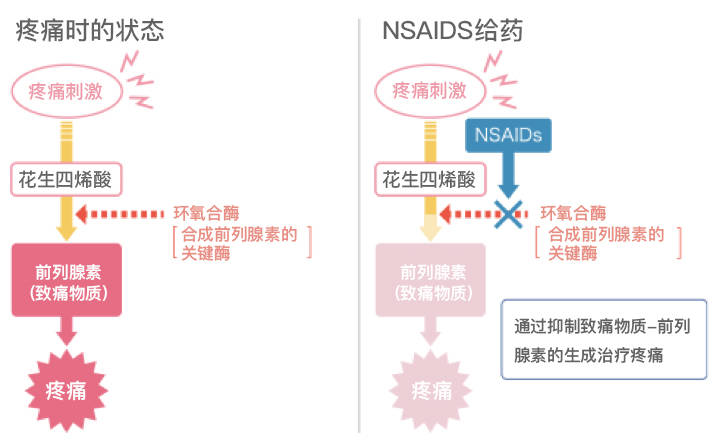 药物治疗中使用的主要药物包括:非甾体类抗炎药(nsaids,神经痛止痛药