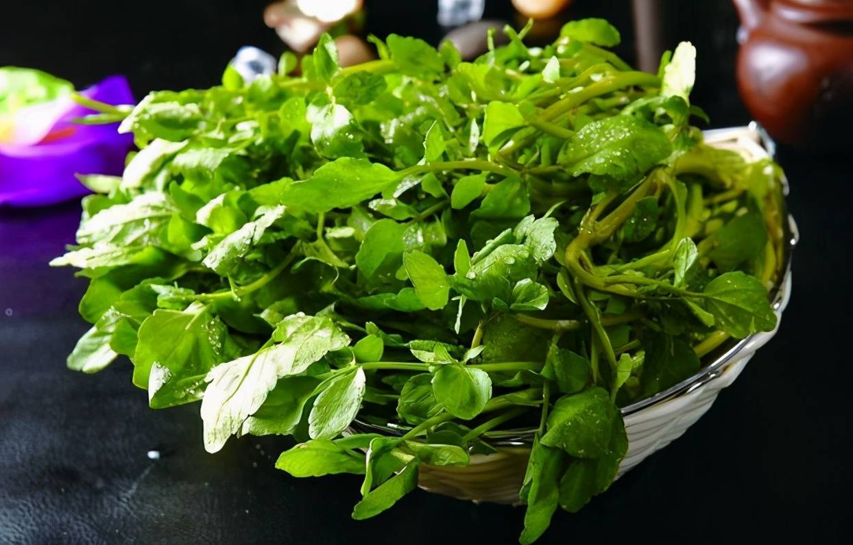 多吃绿叶蔬菜的好处(爱吃绿叶菜身体缺什么) - 医药经