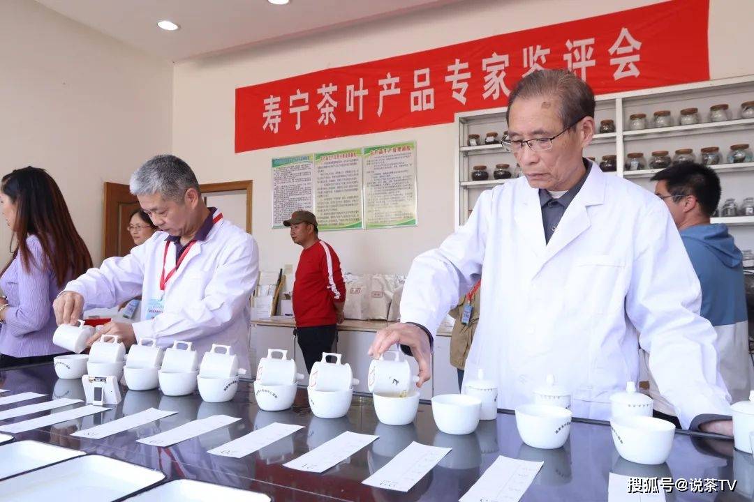茶叶|培养工匠、赋能茶企,且看寿宁这场制茶能手赛!