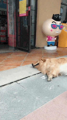 76cff2dcdcef47d499dcae0672857b5d.gif