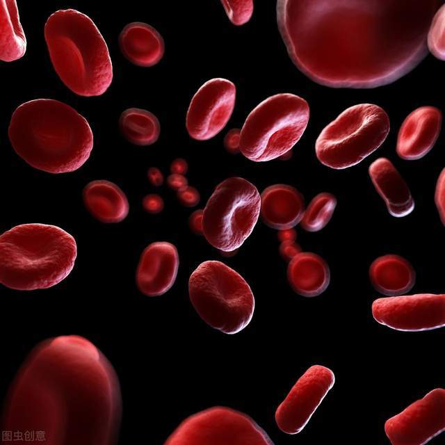 97f35f2fb5b64d17ad1e0005a2ca0607.jpeg
