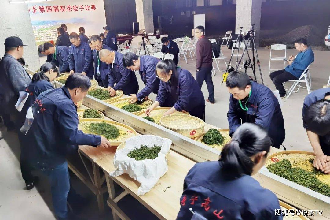 茶叶|培养工匠、赋能茶企,且看寿宁这场制茶能手赛!