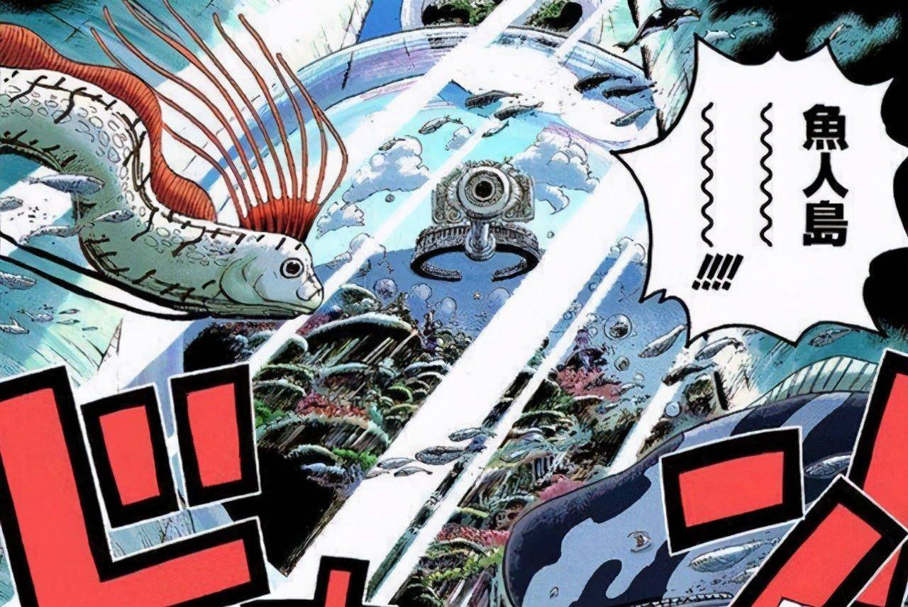 原创海贼王鱼人能力是人类的几倍为什么还会受到不公平的待遇