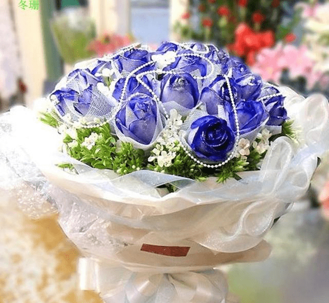 9ae0890cd44c431182f94d79885d41a3.png