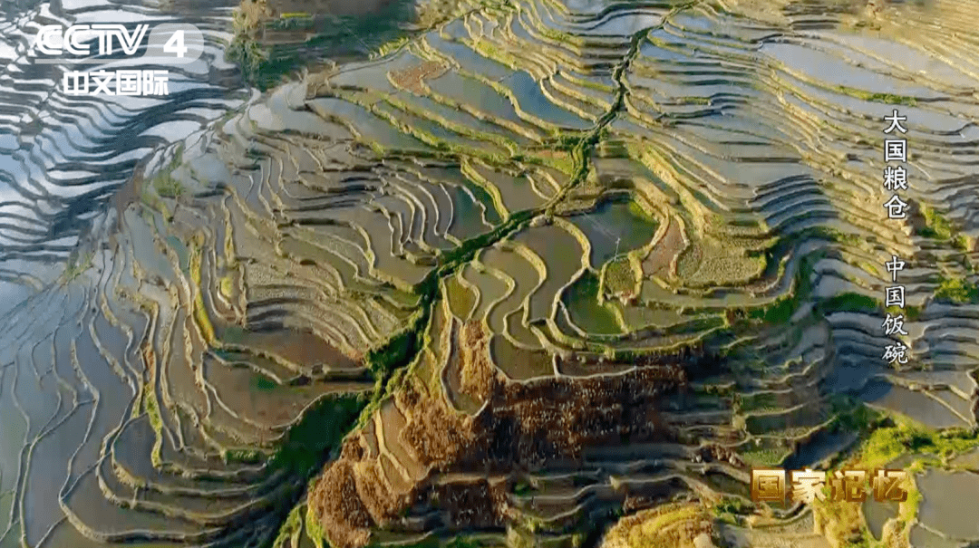 我国人口耕地相当于世界的_牛耕地图片