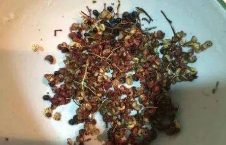 花椒|金针菇这么做！金黄酥脆又好看，不塞牙全家都可以吃！