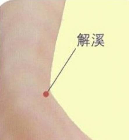 脚上的地筋在哪 d1725d6fde2747daa4a32a22b9e30de3.jpeg