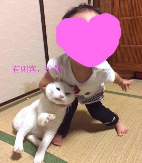 89b6f1e0f8fe4044b36f7cf0f09d1185.jpeg