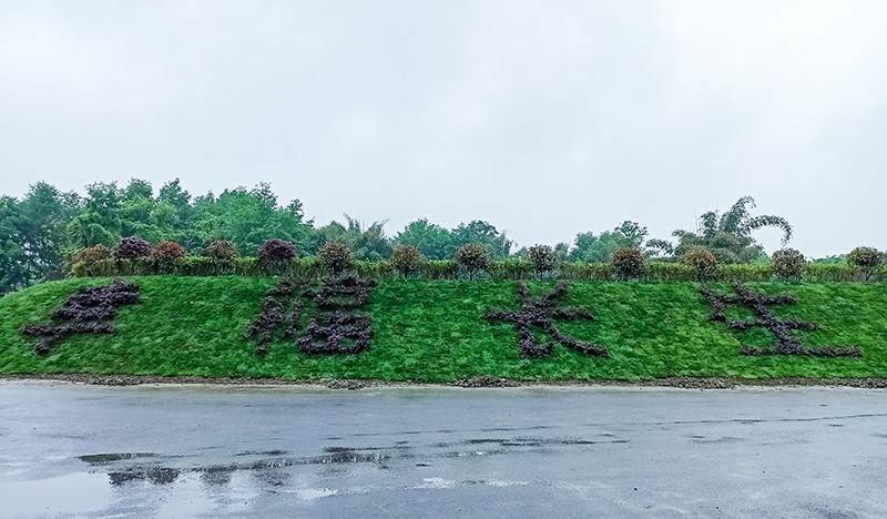 植物拼字图片