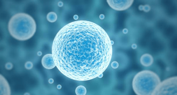 油中臻品:一款你熟悉却又陌生的木本植物油_细胞