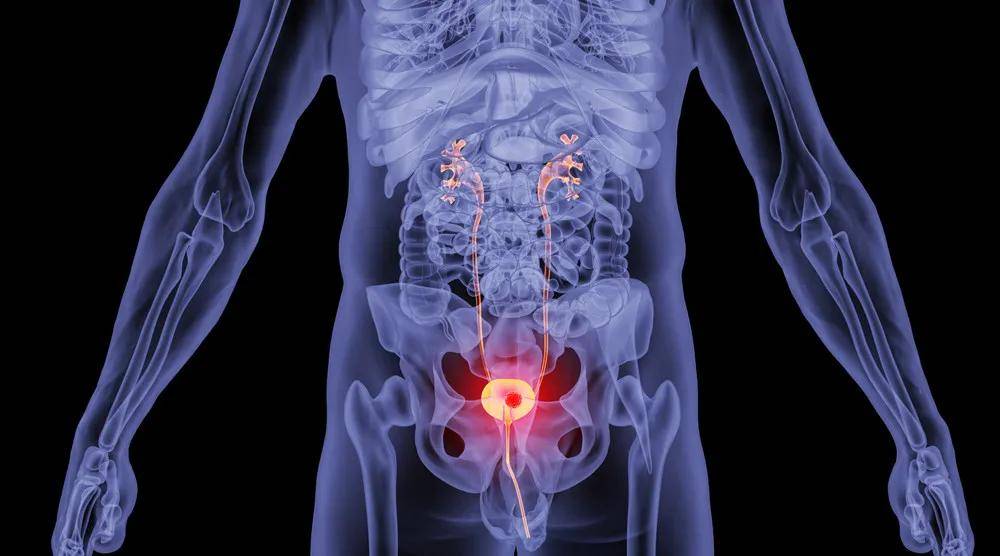 啥是内腰和外腰 60c707be62f24aec88f260a26d353548.jpeg