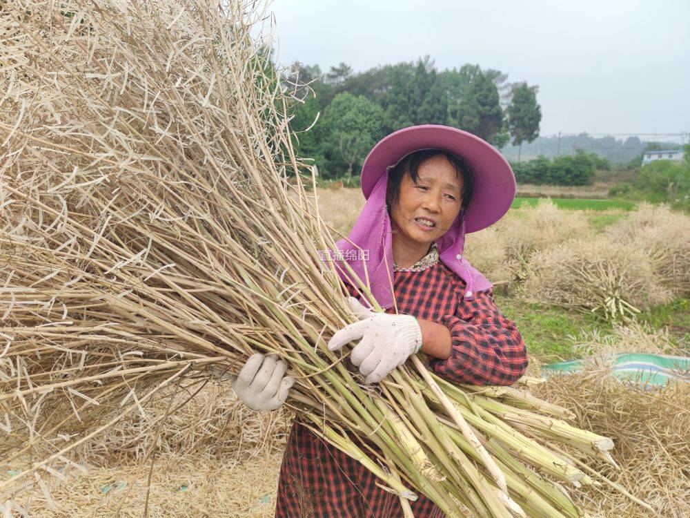 又到了秸秆"扎堆"的季节,强化巡查防患于未"燃"!_处置