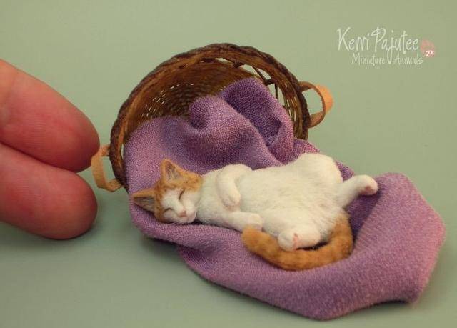 俄罗斯网友用羊毛毡做了很多“小猫”，跟真的一样_猫咪