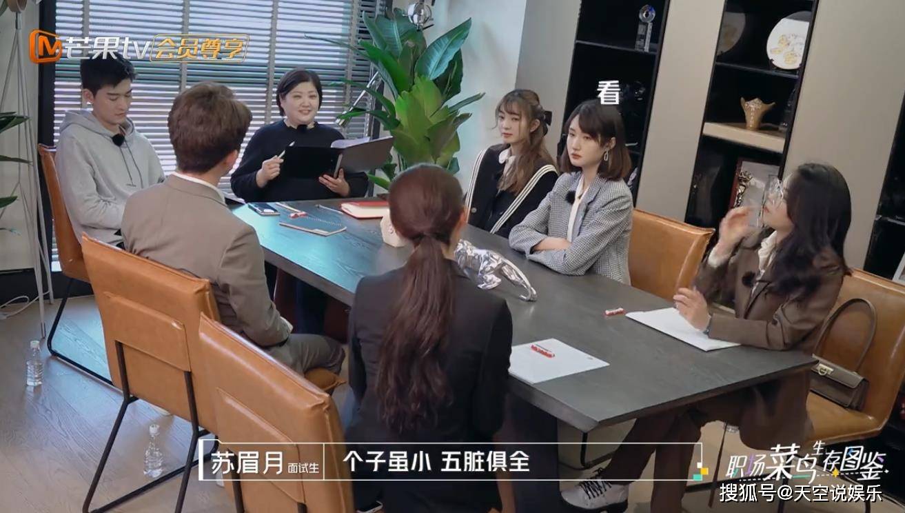 《初入职场的我们》职场图鉴,面试环节爆笑十足,张北冥成功出圈_张翰